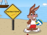 flash игра Beach Volleyball